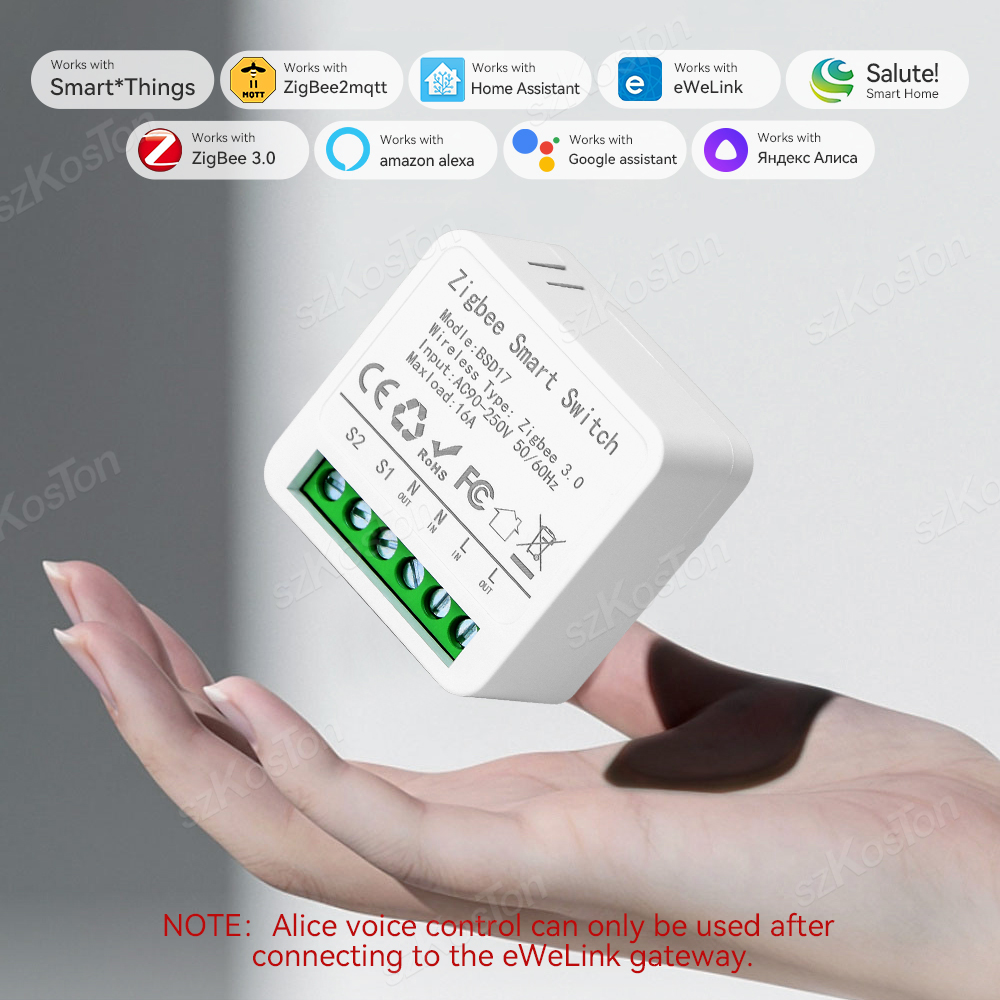 16A Mini ZigBee Smart Switch e - مراجعة Home Automation Diy وسعره