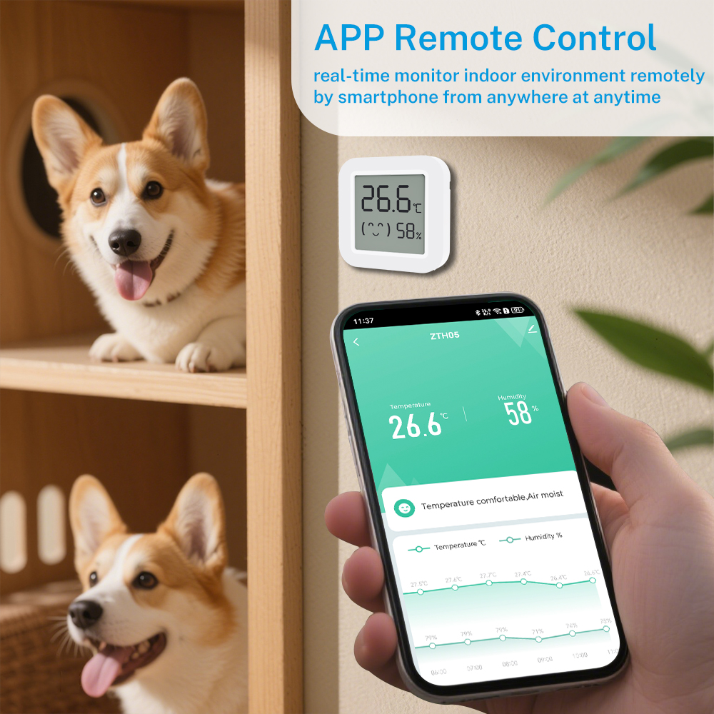Zigbee2MQTT Tuya Temperature H - مراجعة Temperature Humidity Sensor وسعره
